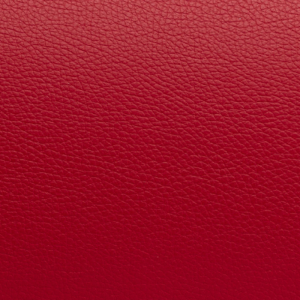 Comprar Bolsa acolchoada para violino Bam ET9200XP L'Étoile Red Round 