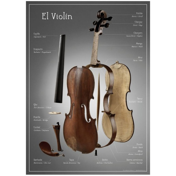 Póster didáctico partes violín - Especialistas en Violines, Violas, Violonchelos y accesorios