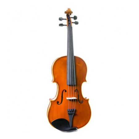 Buy F. Müller Virtuoso Viola 15'' at the best price | València Violins
