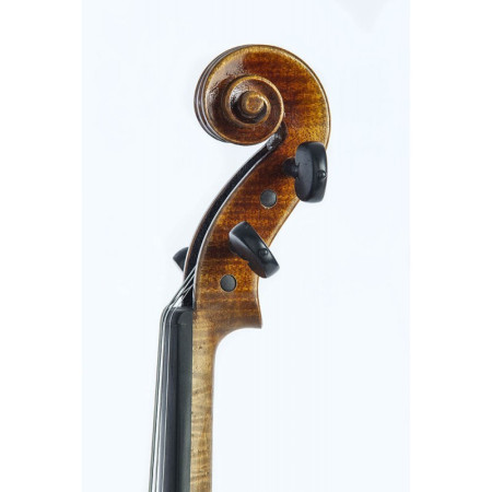 Violín F. Müller Master Antiqued 4/4 - Especialistas en Violines, Violas, Violonchelos y accesorios