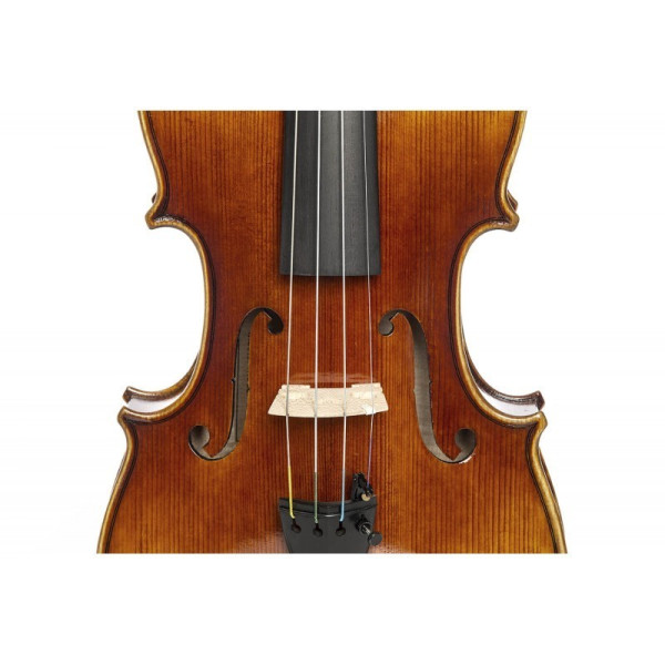 Violín F. Müller Master Antiqued 4/4 - Especialistas en Violines, Violas, Violonchelos y accesorios