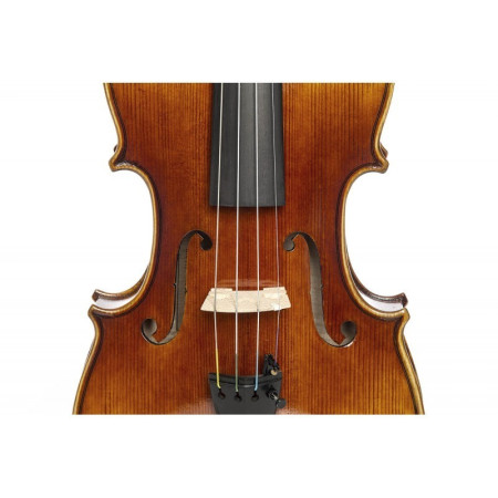 Violín F. Müller Master Antiqued 4/4 - Especialistas en Violines, Violas, Violonchelos y accesorios