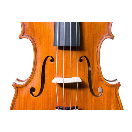 Buy Gliga Gems II Viola 16.5'' at the best price | València Violins