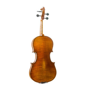 Violín Stentor Master 4/4 - Especialistas en Violines, Violas, Violonchelos y accesorios 2