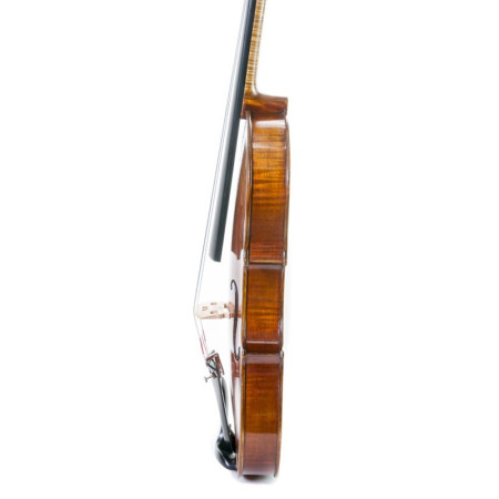 Buy Stentor Master 4/4 Violin at the best price | València Violins