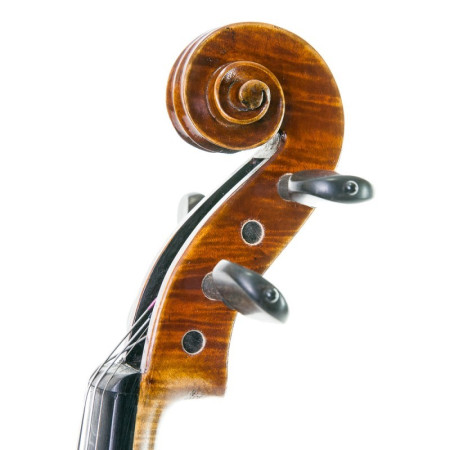 Buy Stentor Master 4/4 Violin at the best price | València Violins