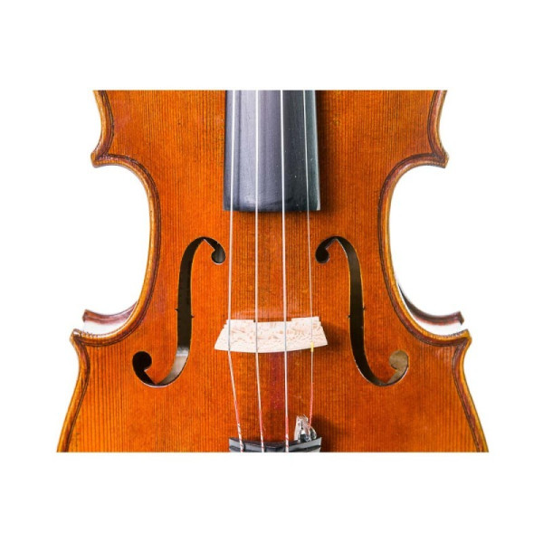 Violín Stentor Master 4/4 - Especialistas en Violines, Violas, Violonchelos y accesorios