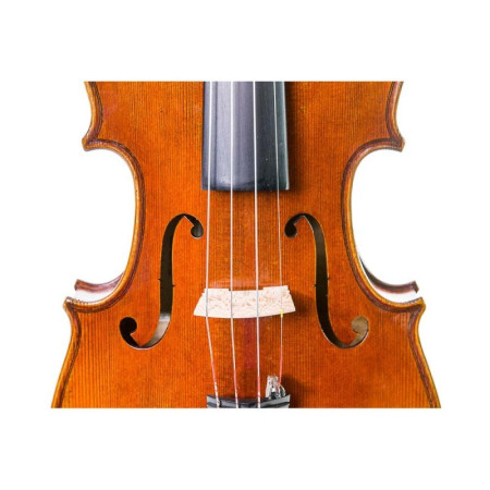 Buy Stentor Master 4/4 Violin at the best price | València Violins