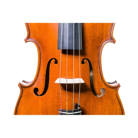 Buy Gliga Vasile Maestro I Viola 16.5'' at the best price | València Violins