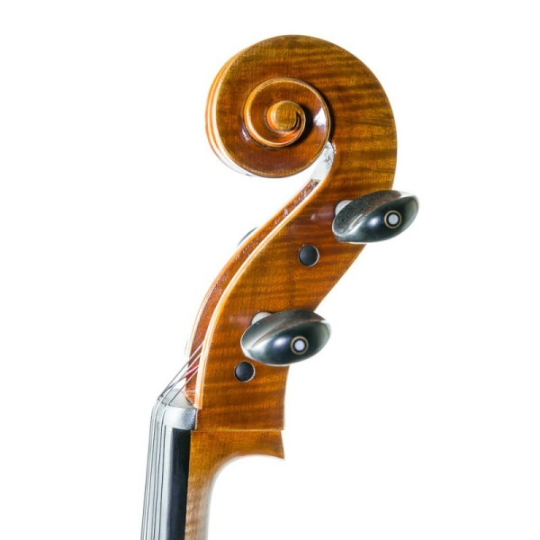 Cello Antonio Wang modelo Brandenburg 4/4 - Especialistas en Violines, Violas, Violonchelos y accesorios