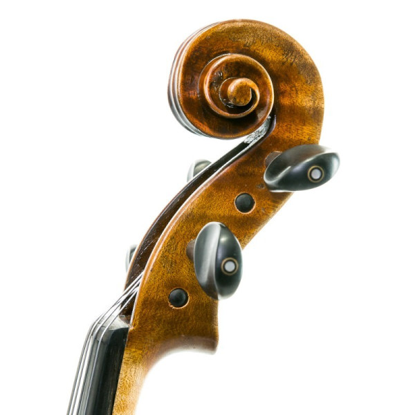 Viola Antonio Wang Taormina antiqued 15,5'' - Especialistas en Violines, Violas, Violonchelos y accesorios
