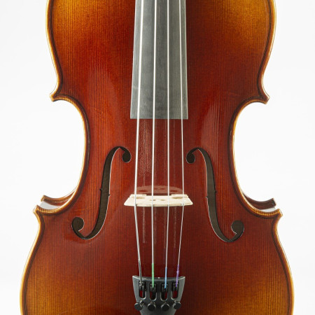 Buy F. Müller Viola Soloist 16'' at the best price | València Violins