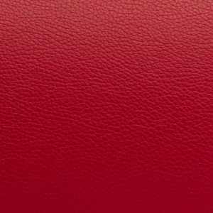 Comprar Estojo de viola Bam L'Étoile Hightech retangular com bolsa ET5301XL Vermelho. 