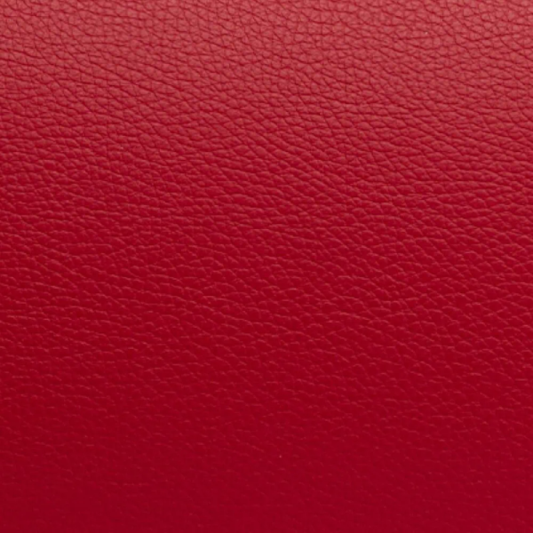 Étui de viola Bam L'Étoile Hightech rectangulaire avec housse ET5301XL Rouge