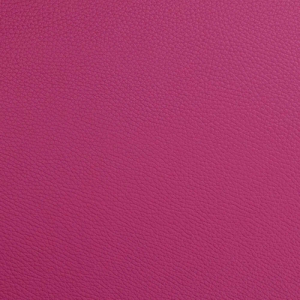 Comprar Estojo para viola Bam L'Étoile Hightech rectangular com bolsa ET5301XL Vermelho frambuesa. 