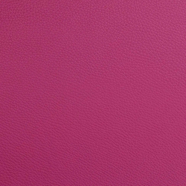 Buy Bam L'Étoile Hightech rectangular viola case with ET5301XL bag Raspberry red.