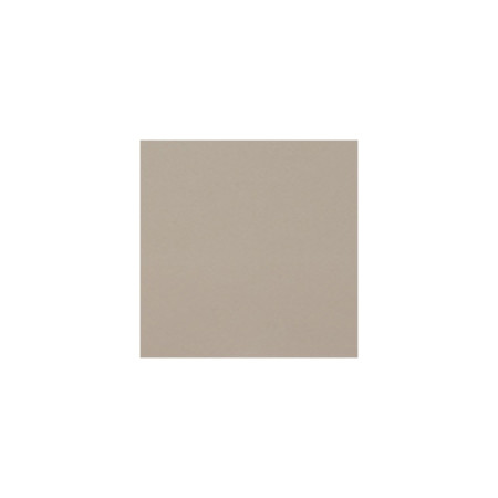 Étui rigide violon Rapsody Rainbow rectangulaire 4/4 4/4 Pearl Perla