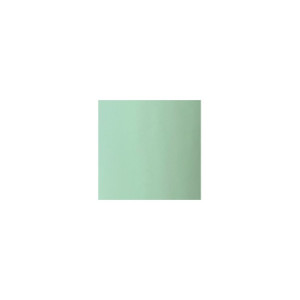 Buy Rapsody Rocket viola case with Mint Menta sheet music bag. at the best price | València Violins