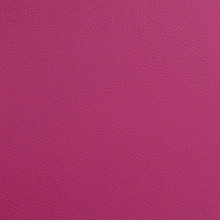 Buy Bam L'Étoile Hightech rectangular violin case with ET2018XL bag Raspberry red 4/4.