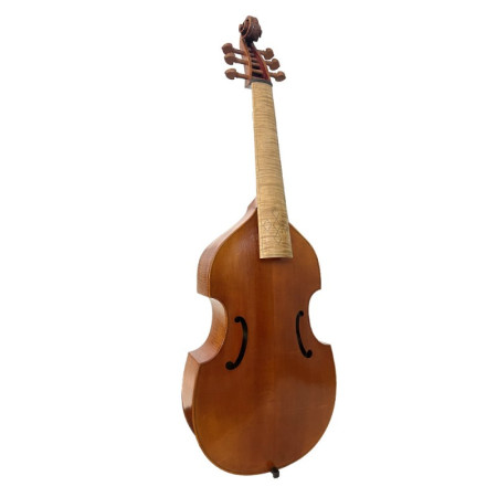 Viola gamba J. B. Lacroix Mirecourt Set 545 mm - Especialistas en Violines, Violas, Violonchelos y accesorios