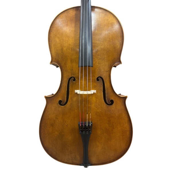 Cello Roderich Paesold PA605-CT
