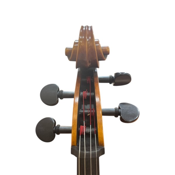 Cello Roderich Paesold PA605-CT