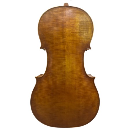 Cello Scrollavezza 2024