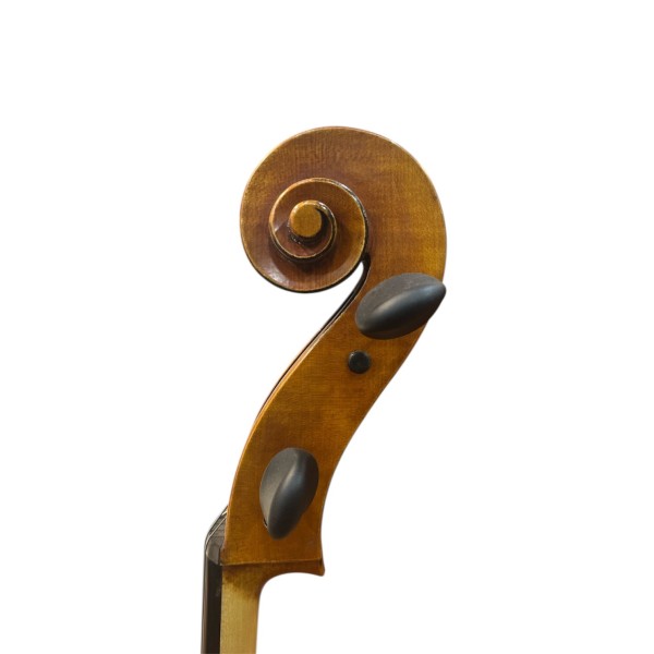 Cello Scrollavezza 2024