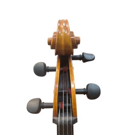 Cello Scrollavezza 2024
