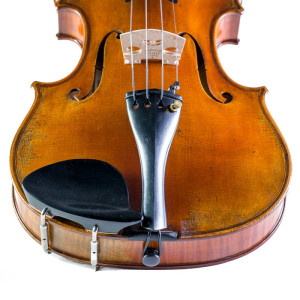 Barbada lateral para violín Dresden de plástico 1/2 - Especialistas en Violines, Violas, Violonchelos y accesorios 2