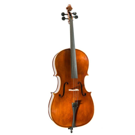 Comprar Violoncelo Corina Duetto Conjunto 4/4 ao melhor preço | València Violins