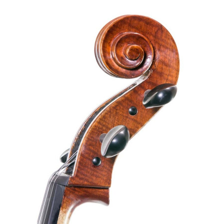 Cello Corina Quartetto Set 1/2 - Especialistas en Violines, Violas, Violonchelos y accesorios