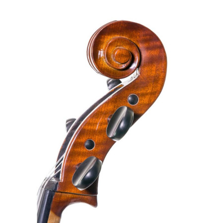 Cello Stentor Conservatoire con arco y estuche 4/4 - Especialistas en Violines, Violas, Violonchelos y accesorios