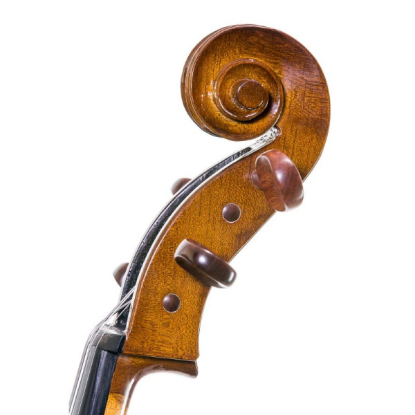 Buy Stentor Student I Cello Set 1/10 at the best price | València Violins
