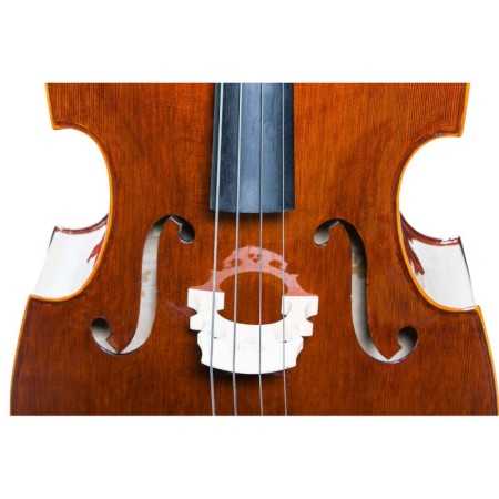 Buy Stentor Conservatoire Double Bass Set 4/4 at the best price | València Violins