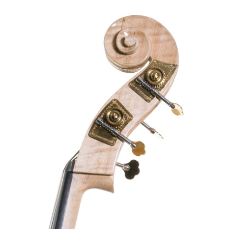 Contrabajo Stentor Rock a Billy 3/4 - Especialistas en Violines, Violas, Violonchelos y accesorios