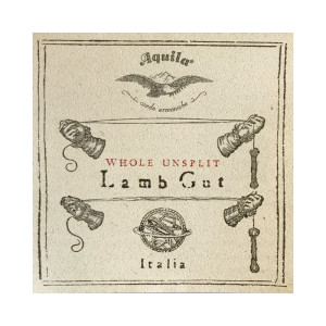 Buy Aquila gut string 60HU. at the best price | València Violins