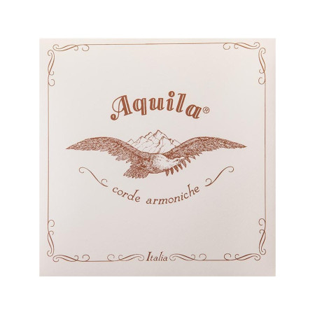 Corde Aquila enrouée en argent type F Medium 23FU