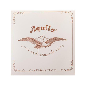 Corda contrabbasso Aquila tripa 300HU180 2° Re