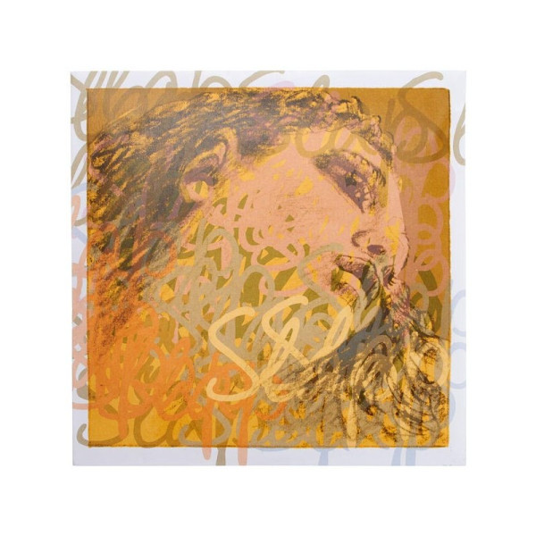 Corde de contrebasse Pirastro Evah Pirazzi Slap Orchestra 145220 2e Ré Medium 3/4