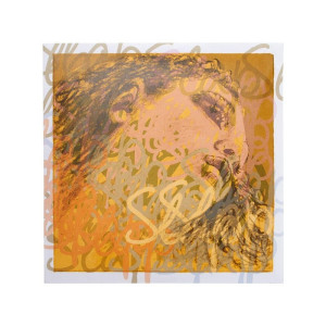 Corde de contrebasse Pirastro Evah Pirazzi Slap Orchestra 445320 3e La Medium 3/4