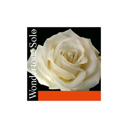 Buy Pirastro Wondertone Solo 315621 1st E string bow 26 superior steel Medium 4/4.