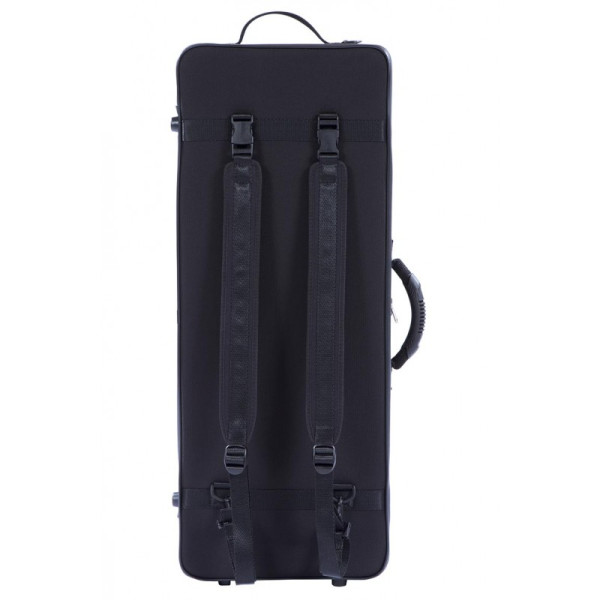 Comprar Estojo de viola Bam Artisto 2041B Preto ao melhor preço | València Violins