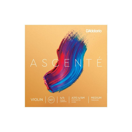 Set de cuerdas violín D'Addario Ascenté A310 Bola Medium 1/2 - Especialistas en Violines, Violas, Violonchelos y accesorios