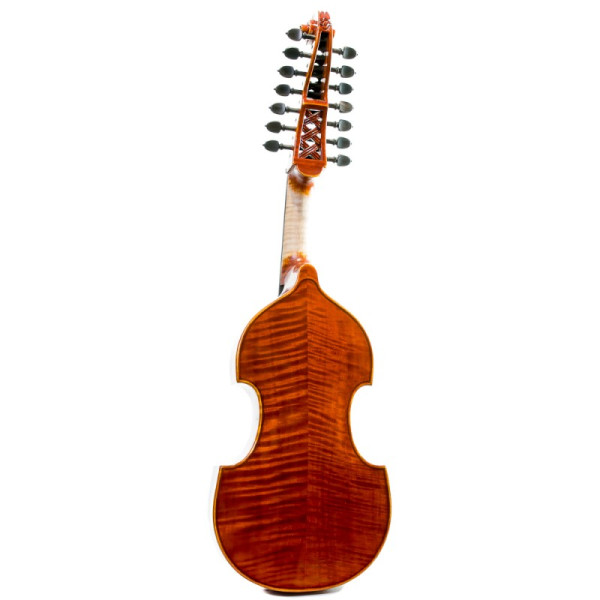 Viola D'Amore Rapsody DAM600 - Especialistas en Violines, Violas, Violonchelos y accesorios