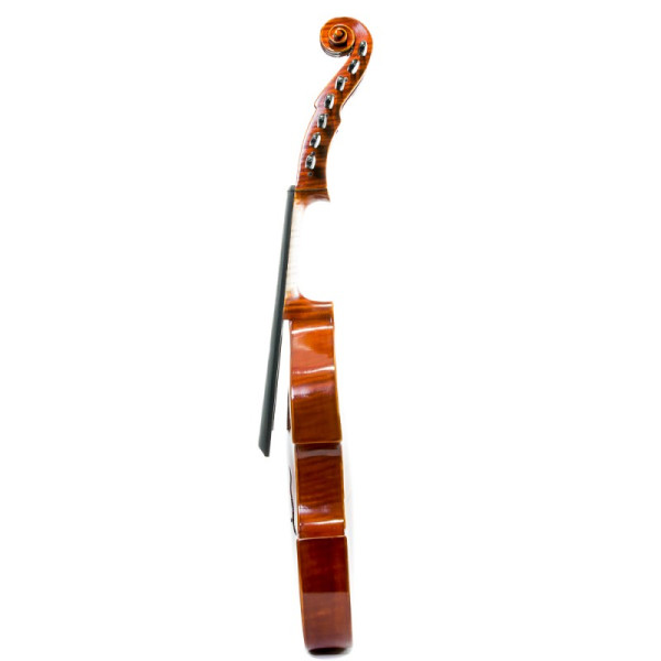 Viola D'Amore Rapsody DAM600 - Especialistas en Violines, Violas, Violonchelos y accesorios