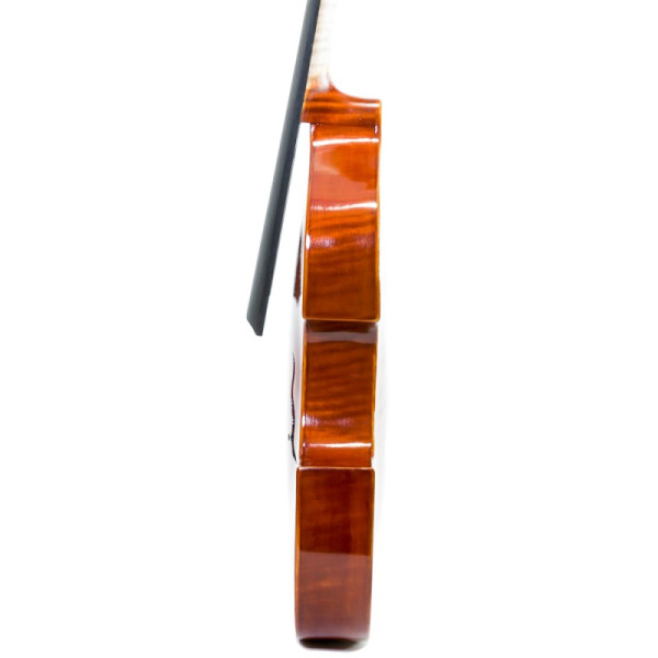 Viola D'Amore Rapsody DAM600 - Especialistas en Violines, Violas, Violonchelos y accesorios