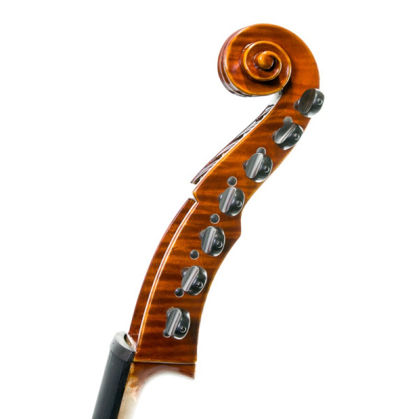 Viola D'Amore Rapsody DAM600 - Especialistas en Violines, Violas, Violonchelos y accesorios
