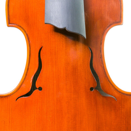 Viola D'Amore Rapsody DAM600 - Especialistas en Violines, Violas, Violonchelos y accesorios