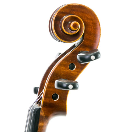 Violín Gliga Cristian 4/4 4/4 - Especialistas en Violines, Violas, Violonchelos y accesorios